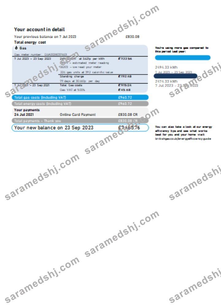 British Gas Energy utility business bill SCR page 2